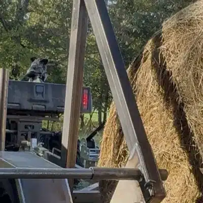 DIY Hay Bale Unroller and Transporter - BALE BUGGY